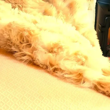 A Casa Do Aloumino Da Auga Mondariz Vt-po-00148 Y Prexigueiro Obsequio Entrada Por Persona A Circuito Termal *