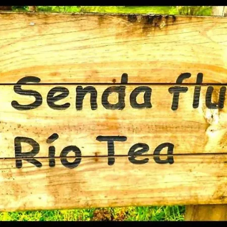 Prázdninový dům A Casa Do Aloumino Da Auga Mondariz Vt-po-00148 Y Prexigueiro Obsequio Entrada Por Persona A Circuito Termal San Felix (Pontevedra)