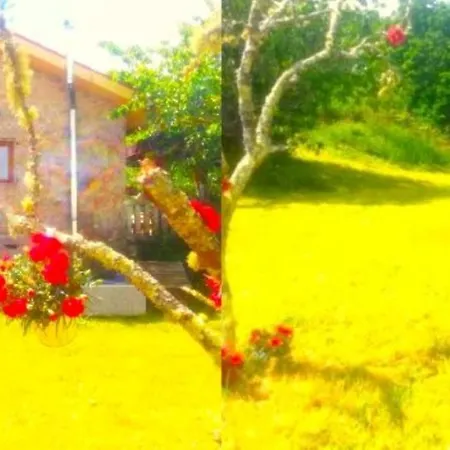 A Casa Do Aloumino Da Auga Mondariz Vt-po-00148 Y Prexigueiro Obsequio Entrada Por Persona A Circuito Termal San Felix (Pontevedra)