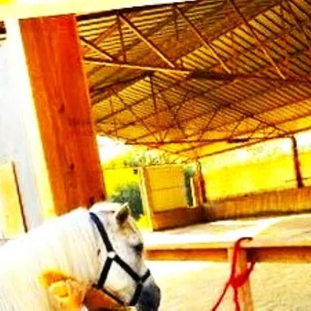 A Casa Do Aloumino Da Auga Mondariz Vt-po-00148 Y Prexigueiro Obsequio Entrada Por Persona A Circuito Termal Лоугарес