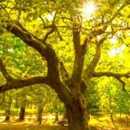 Dom wakacyjny A Casa Do Aloumino Da Auga Mondariz Vt-po-00148 Y Prexigueiro Obsequio Entrada Por Persona A Circuito Termal *