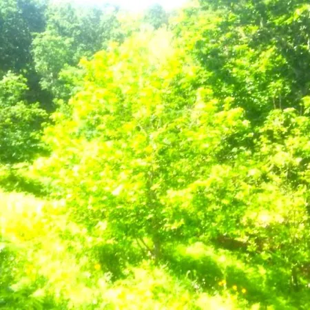 Дом отдыха A Casa Do Aloumino Da Auga Mondariz Vt-po-00148 Y Prexigueiro Obsequio Entrada Por Persona A Circuito Termal *