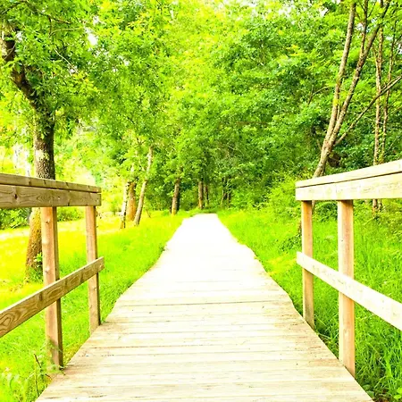 A Casa Do Aloumino Da Auga Mondariz Vt-po-00148 Y Prexigueiro Obsequio Entrada Por Persona A Circuito Termal * San Felix (Pontevedra)